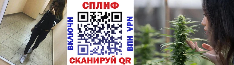 Купить наркотик аптеки Каргополь Галлюциногенные грибы  Кокаин  A-PVP  АМФ 