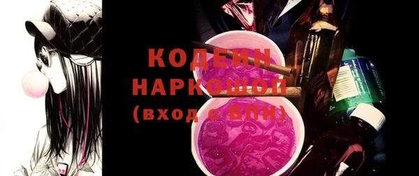ГАЛЛЮЦИНОГЕННЫЕ ГРИБЫ Ельня