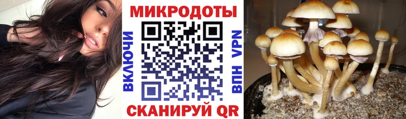 Псилоцибиновые грибы Magic Shrooms закладки Каргополь