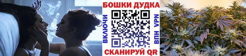 Бошки Шишки ГИДРОПОН  цены наркотик  Каргополь 